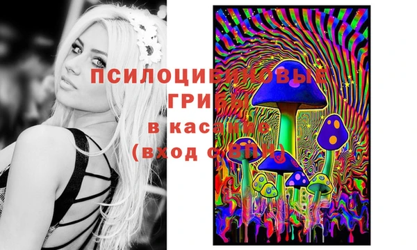 спайс Аркадак