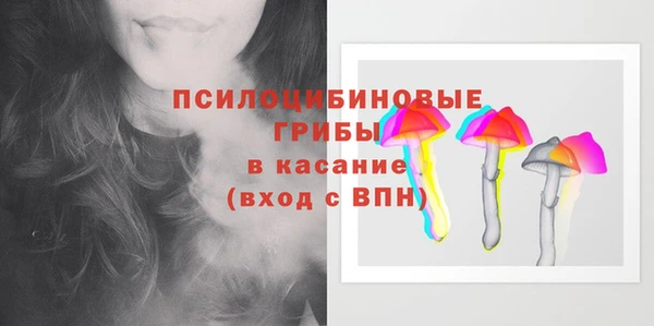 спайс Аркадак