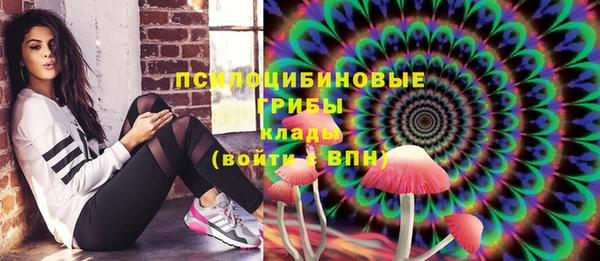 спайс Аркадак