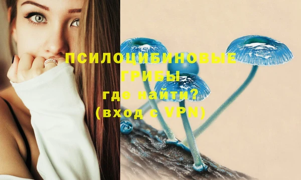 спайс Аркадак