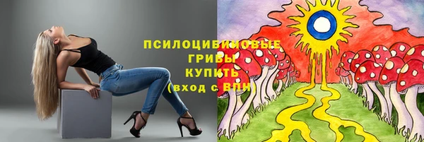 спайс Аркадак