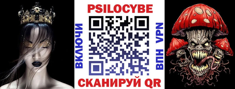 Купить где  Богданович  Псилоцибиновые грибы Psilocybine cubensis 